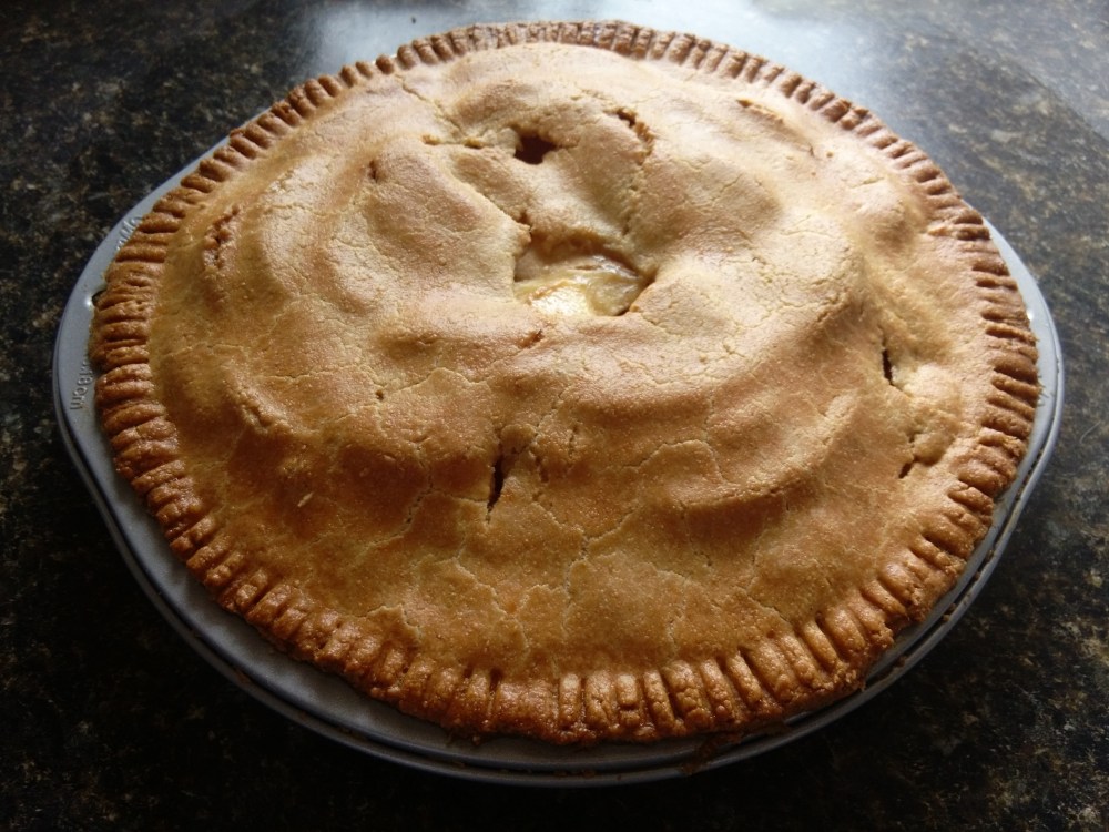 IMG_20160312_1524454_rewind